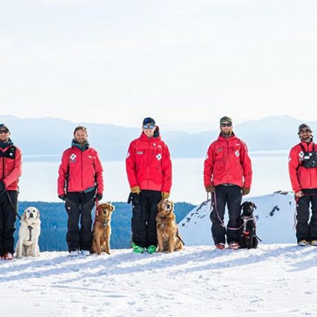 You say you want more ski patrol dogs?